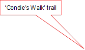 ‘Condie’s Walk’ trail 