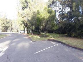 A road with trees on either side

Description automatically generated with low confidence