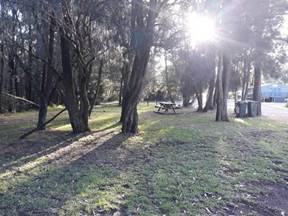 A grassy area with trees and a building in the background

Description automatically generated with low confidence