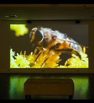 A picture containing screen, aquarium

Description automatically generated