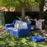 A picture containing grass, tree, outdoor, several

Description automatically generated