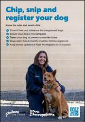A person holding a dog

Description automatically generated with low confidence