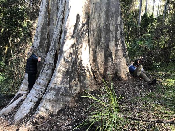 A group of people standing next to a large tree

Description automatically generated with low confidence