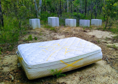 A mattress in the woods

Description automatically generated with low confidence