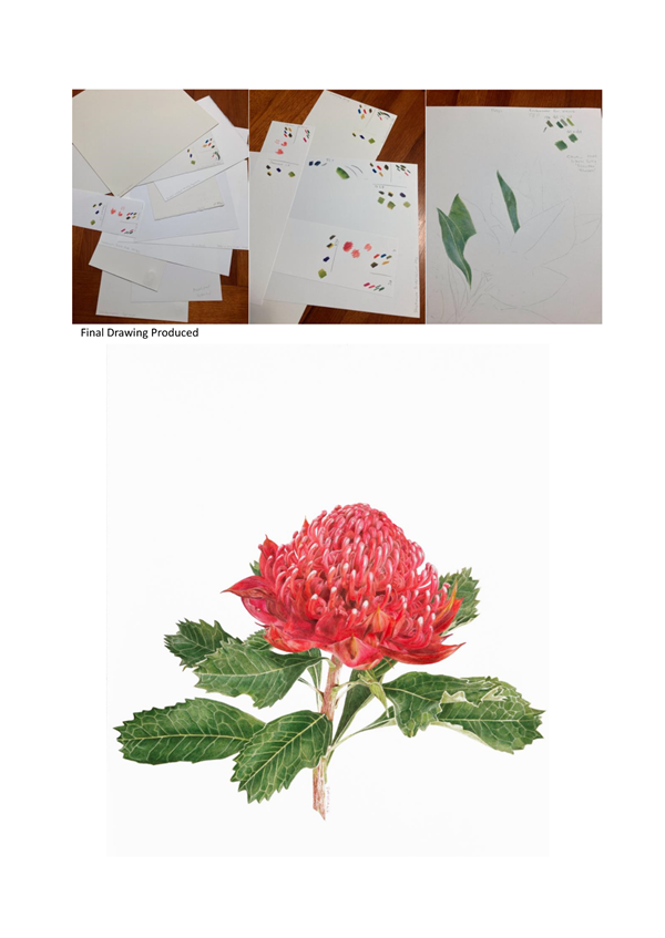 A collage of a flower

Description automatically generated