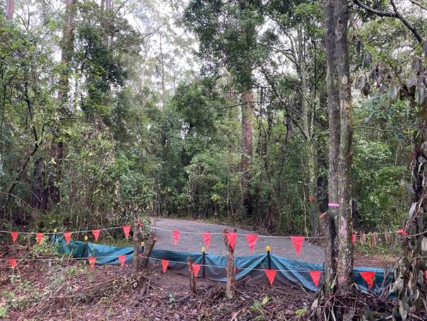 A road with flags on it

Description automatically generated