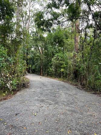 A road with trees and bushes

Description automatically generated