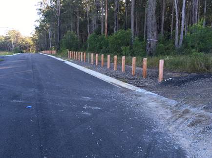 A road with trees in the background

Description automatically generated