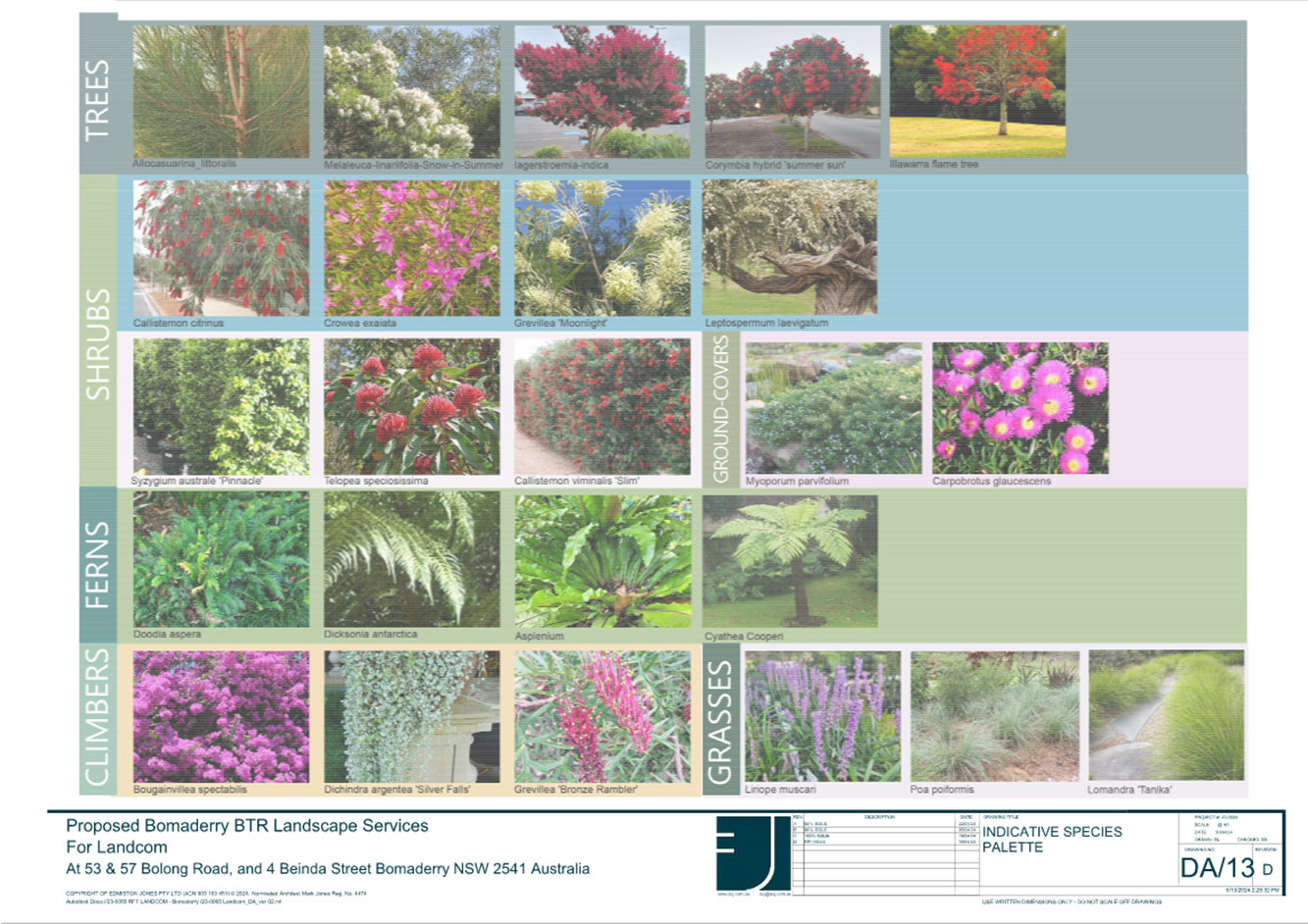 A collage of different plants

Description automatically generated