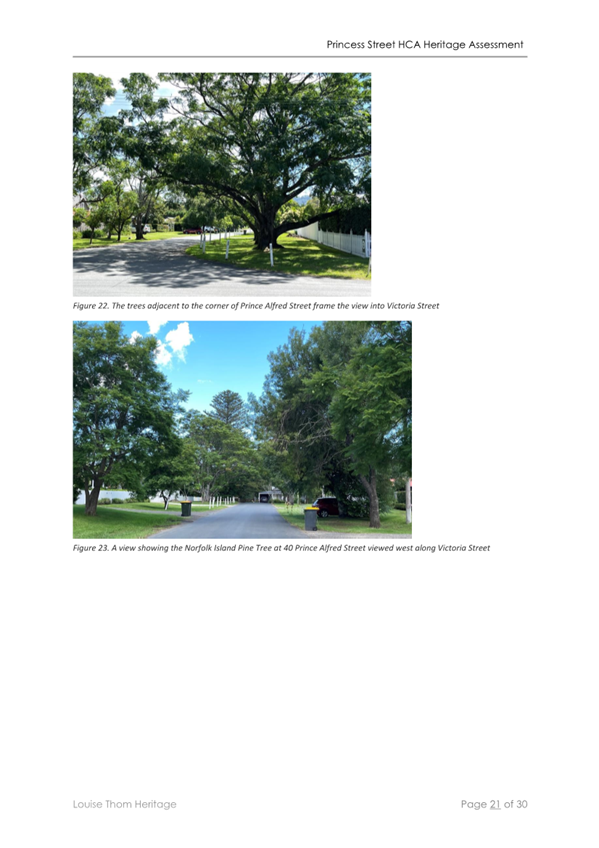 A collage of trees and a road

Description automatically generated