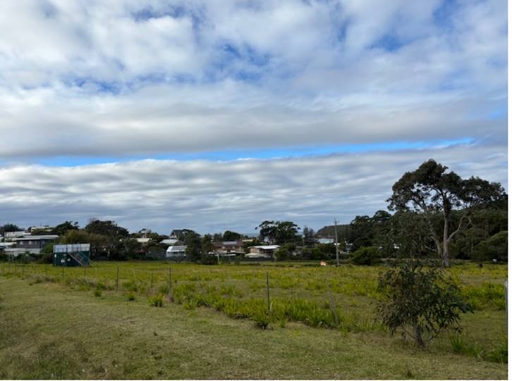 A field with trees and buildings in the background

Description automatically generated