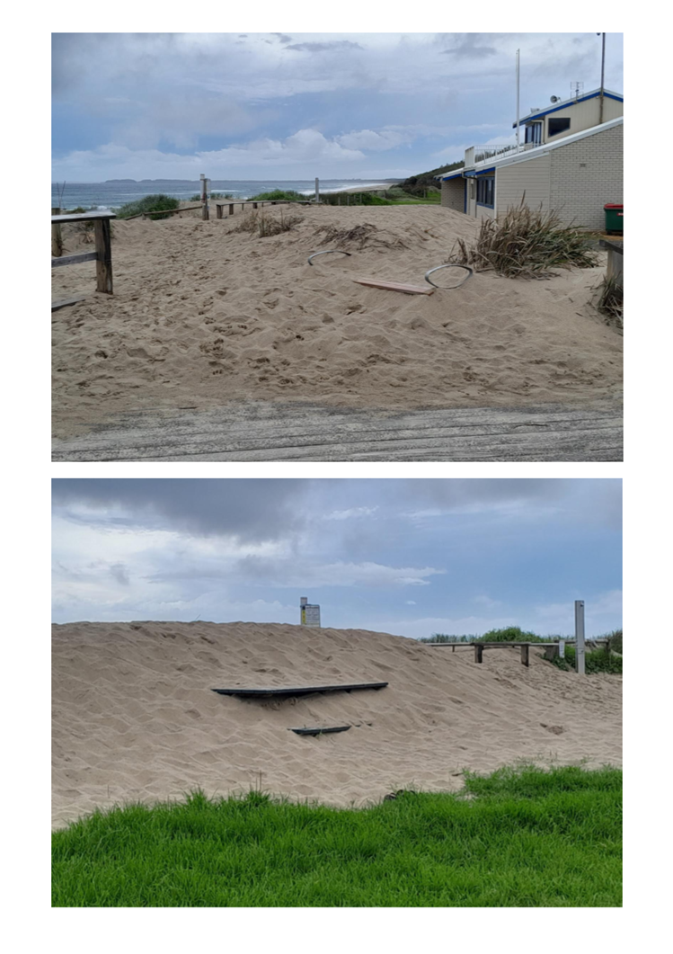A collage of a beach

AI-generated content may be incorrect.