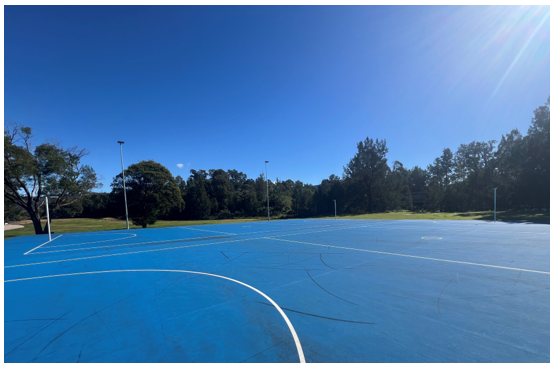 A blue sports field with trees in the background

AI-generated content may be incorrect.