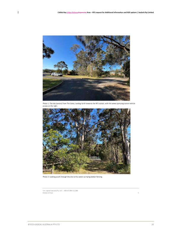 A collage of a road and trees

AI-generated content may be incorrect.