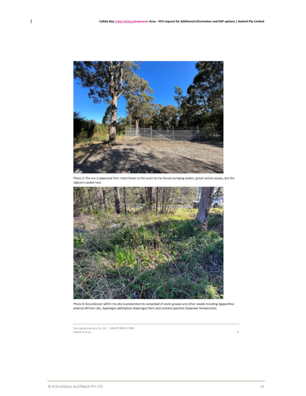 A collage of a fenced in area

AI-generated content may be incorrect.