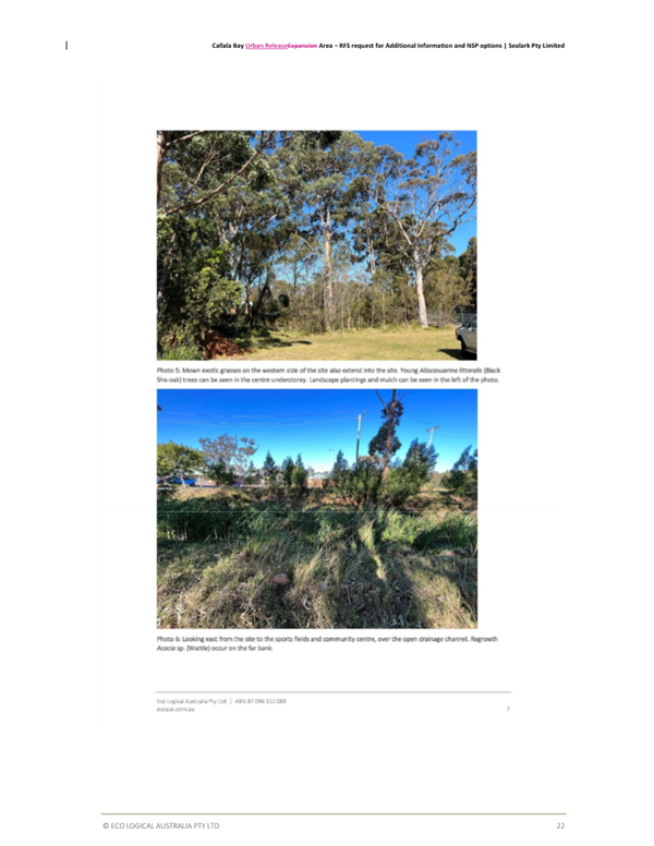 A screenshot of a page

AI-generated content may be incorrect.