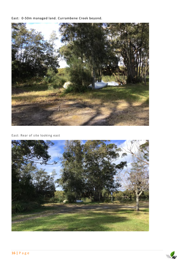 A collage of a park

AI-generated content may be incorrect.